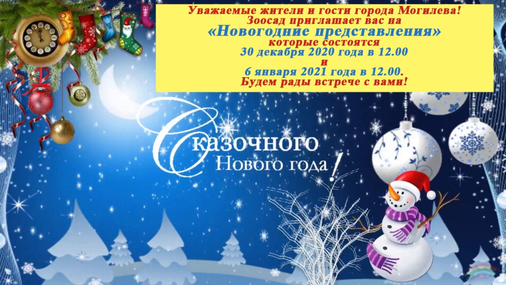 Новый год в Зоосаду 2020